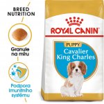 Royal Canin Kavalír King Charles Puppy 1,5 kg – Hledejceny.cz