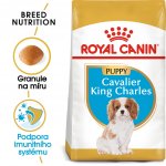 Royal Canin Kavalír King Charles Puppy 1,5 kg – Sleviste.cz