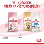 Royal Canin Kitten Sterilised 400 g – Zboží Mobilmania