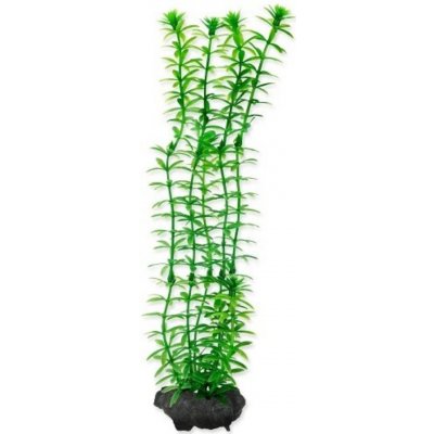 Tetra Anacharis 30 cm – Hledejceny.cz