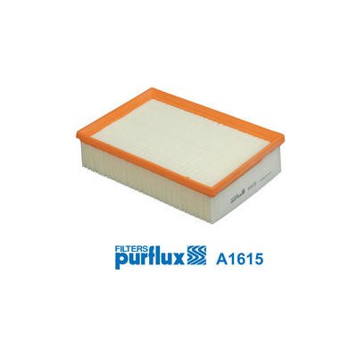 Vzduchový filtr PURFLUX A1615 – Hledejceny.cz