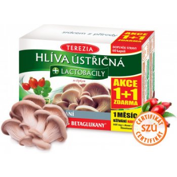 Terezia Company Hlíva ústřičná 60 tablet