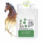 Dromy BOSWELLIA Serrata liq. 1000 ml – Sleviste.cz