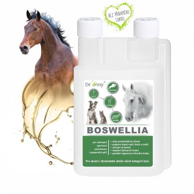 Dromy BOSWELLIA Serrata liq. 1000 ml – Sleviste.cz