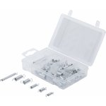 Pružiny Kraftmann BGS1088173, tažné (Sada 65 dílů) (BGS1088173) – Sleviste.cz