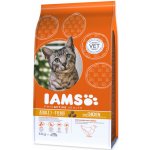 Iams ProActive Health Adult Original kuře 3 kg – Hledejceny.cz