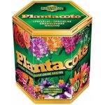 Forestina Plantacote 6M 300 g – Zboží Dáma