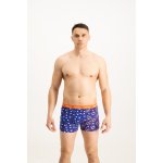 Frogies pánské boxerky Zodiac Panna modrá – Sleviste.cz