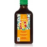 Weleda BIO Rakytníková šťáva šťáva pro posílení imunity 200 ml – Hledejceny.cz