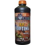 BioGreen X-Rooting 250ml – Hledejceny.cz