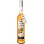 R. Jelínek Starovická Meruňkovice 2019 42% 0,7 l (holá láhev) – Zboží Dáma