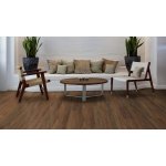 Objectflor Expona Clic 19 dB 9031 Rich Hazel Oak 2,15 m² – Hledejceny.cz
