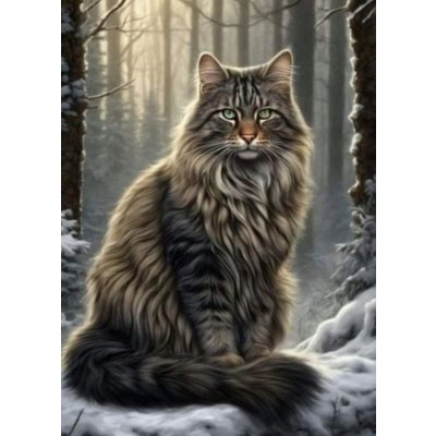 NORIMPEX Diamantové malování Kocour v lese 30 x 40 cm – Sleviste.cz