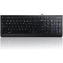  Lenovo 300 USB Keyboard GX30M39663