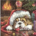 Ubrousek 33x33cm Bravo,to se povedlo – Zboží Dáma