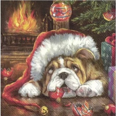 Ubrousek 33x33cm Bravo,to se povedlo – Zboží Dáma