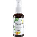 Anwen Olej na vlasy se střední pórovitostí mango 50 ml – Hledejceny.cz