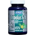 Fitco Tribulus Terrestris 120 kapslí – Zbozi.Blesk.cz