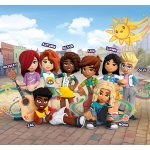 LEGO® Friends 41755 Pokoj Novy – Hledejceny.cz