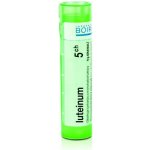 LUTEINUM POR 5CH GRA 4G – Hledejceny.cz