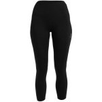 Icebreaker 260 Fastray II 25 High Rise Tights Black – Hledejceny.cz