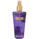 Victoria's Secret Love Spell tělový závoj 250 ml – Zboží Dáma
