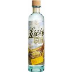 Lúčky Gin 40% 0,7 l (holá láhev) – Zboží Dáma