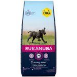 Eukanuba Adult Large Breed 18 kg – Hledejceny.cz