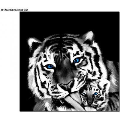 Obraz tygra s mládětem, jednodílný 30x30 cm – Sleviste.cz