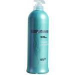 Black Anti-Frizz Shampoo 500 ml – Zboží Mobilmania