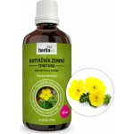 Herbavis Kotvičník zemní tinktura 50 ml – Hledejceny.cz