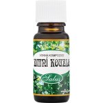 Saloos Vonný olej do aromalamp Zimní kouzlo 10 ml – Hledejceny.cz