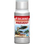 Dajana Prevent 250 ml – Sleviste.cz