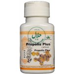 Green world Fen Czjao propolis 60 kapslí – Hledejceny.cz