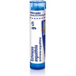 ECHINACEA ANGUSTIFOLIA POR 9CH GRA 1X4G – Hledejceny.cz