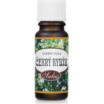 Saloos vonný olej Černý rybíz, 10ml – Zboží Dáma