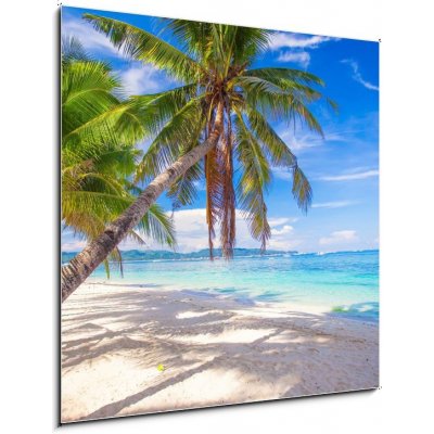 Obraz 1D - 50 x 50 cm - Coconut Palm tree on the white sandy beach Kokosová palma na bílé písečné pláži – Zbozi.Blesk.cz