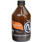 Nupreme Kombucha Vigo Mango a Maracuja 330 ml – Zboží Dáma