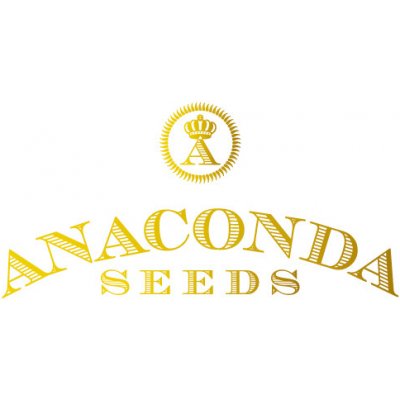 Anaconda Seeds White Widow semena neobsahují THC 5 ks