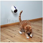 Trixie Laserová hračka pro kočky 11 cm, bílo/modrá – Hledejceny.cz