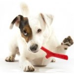 BAMA Hračka pro psy TUTTOMIO MINI – Zboží Dáma