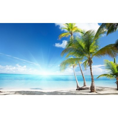 Postershop Fototapeta vliesová: Palmy na pláži rozměry 416x254 cm – Zboží Mobilmania