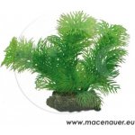 Hobby Egeria 13 cm – Sleviste.cz