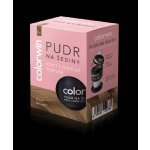 Colorwin pudr na šediny plavý 3,2 g – Zboží Dáma