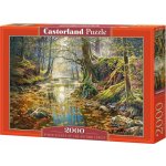 Castorland Podzimní les 200757 2000 dílků – Zboží Mobilmania