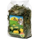 JR Farm Pampeliška 100 g