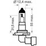 Trifa HB4 P22d 12V 51W | Zboží Auto