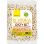 Wolfberry Slzovka obecná 250 g – Zboží Dáma