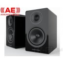 Acoustic Energy AE300