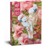 Cherry Pazzi Papoušci 1000 dílků – Sleviste.cz